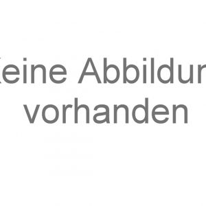 Meßner Pumpe Drehzahlbegrenzer DS 350