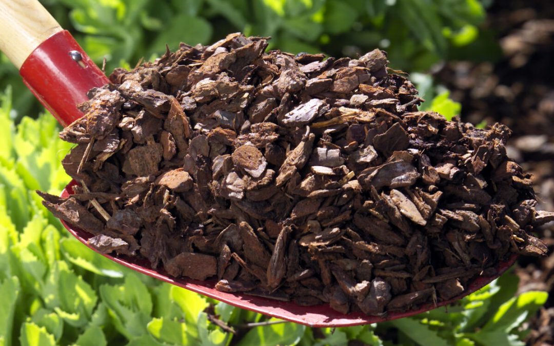 Rindenmulch – Weniger Unkraut im Beet